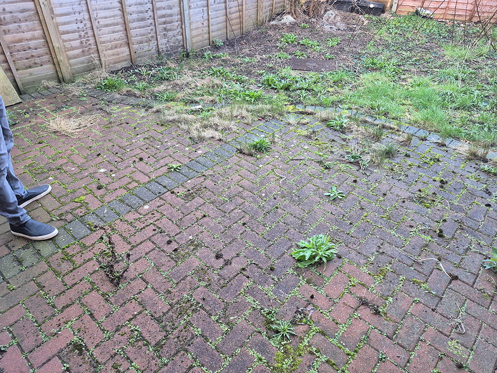 outstepperz gardening services clean your garden